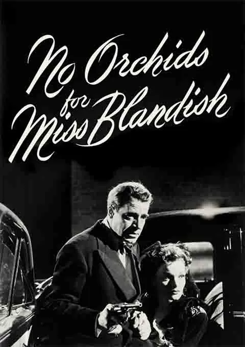 没有布兰蒂什小姐的兰花